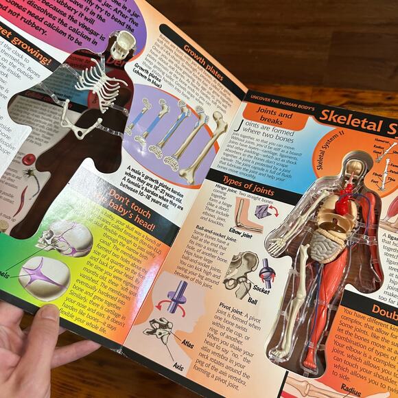 Vintage 2002 Uncover HUMAN BODY 3-D Anatomy Hardcover Book - Picture 4 of 12